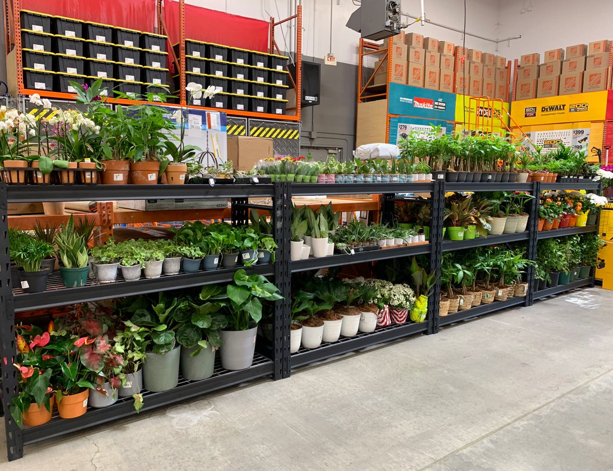 BunthanHD1009's tweet image. Thank you Perla, Jobanne and Brandon for their teamwork and passion on the fantastic display and still drive excellent customer service. You guys ROCK. 🙏🏻🙏🏻🙏🏻 @MikeHubbard5580  @SmithE6621 @Cesar93THD @MRSSAHD @RachelUlloa_ @steveknott020