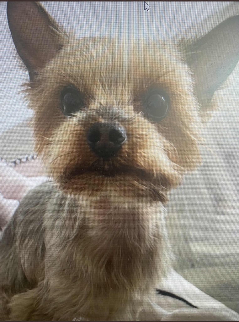 Winkie5Murphy tweet media