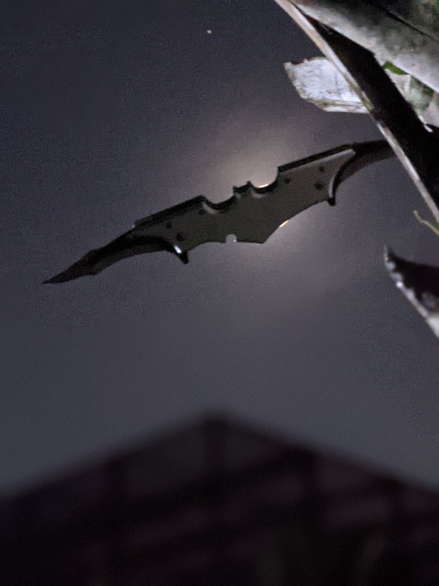 Provin it since 88' tweet media