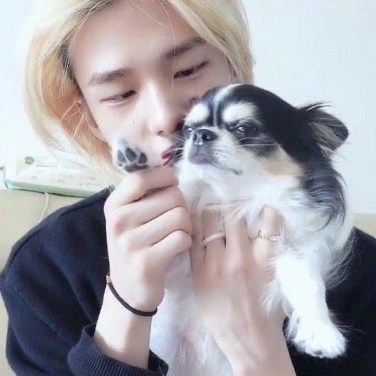 arcticskz's tweet photo. https://t.co/KM1PIUBUyt