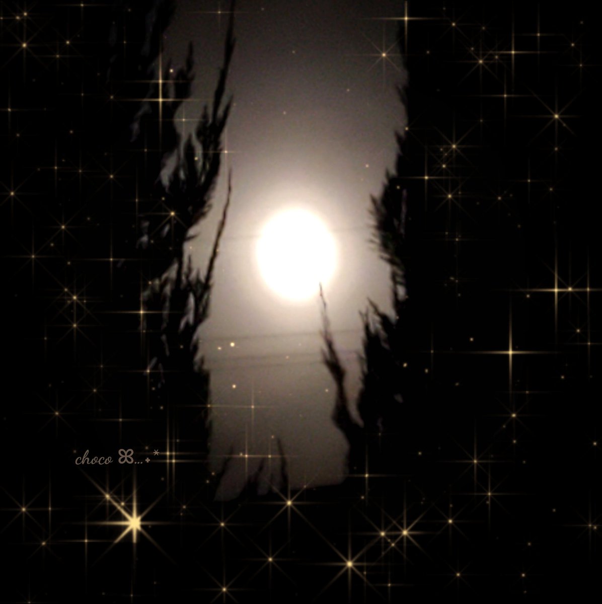 ChocoChocolLove's tweet photo. おはチョコです🍫

昨夜は #バックムーン 🌕
綺麗でしたね😊
お家に帰る途中で パチリ✨

7月になると雄鹿の角が
生え変わることから
こう呼ばれるように
なったそうです 🦌🌕

お月様のパワーで今日も
素敵な1日を🍀*゜

#おは戦30725jn 🍨
#既読感覚でいいね
2枚目3枚目は #加工 あり✨ https://t.co/9uIterZiKX