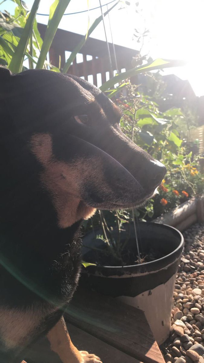 Stormcloud tweet media