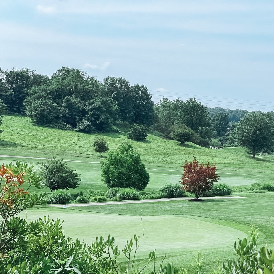 Chester Valley Golf Club tweet media