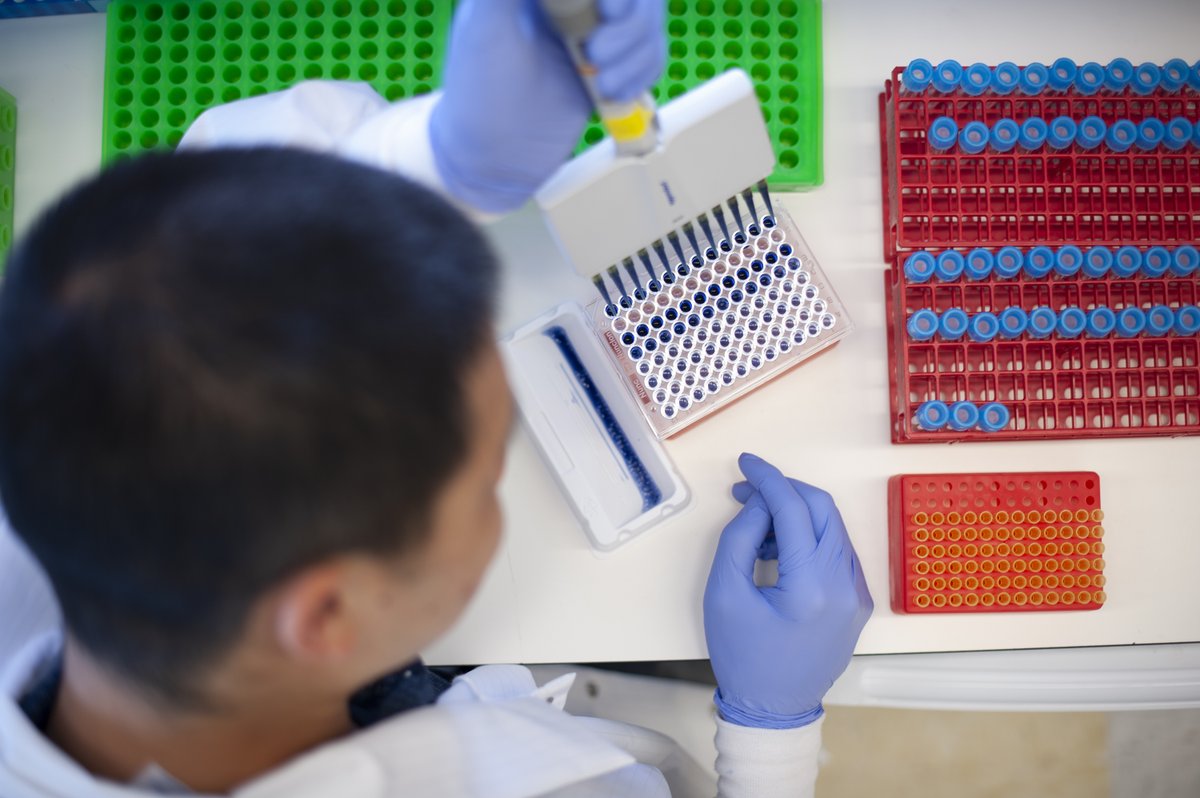 UTMDAnderson's tweet photo. As part of our commitment to eliminate cancer, we’re training the next generation of leading minds in oncology. 

Discover educational and training opportunities, from undergraduate degrees to advanced nursing education: https://t.co/LkgDQg8wkM #EndCancer https://t.co/zJtx9R87lX