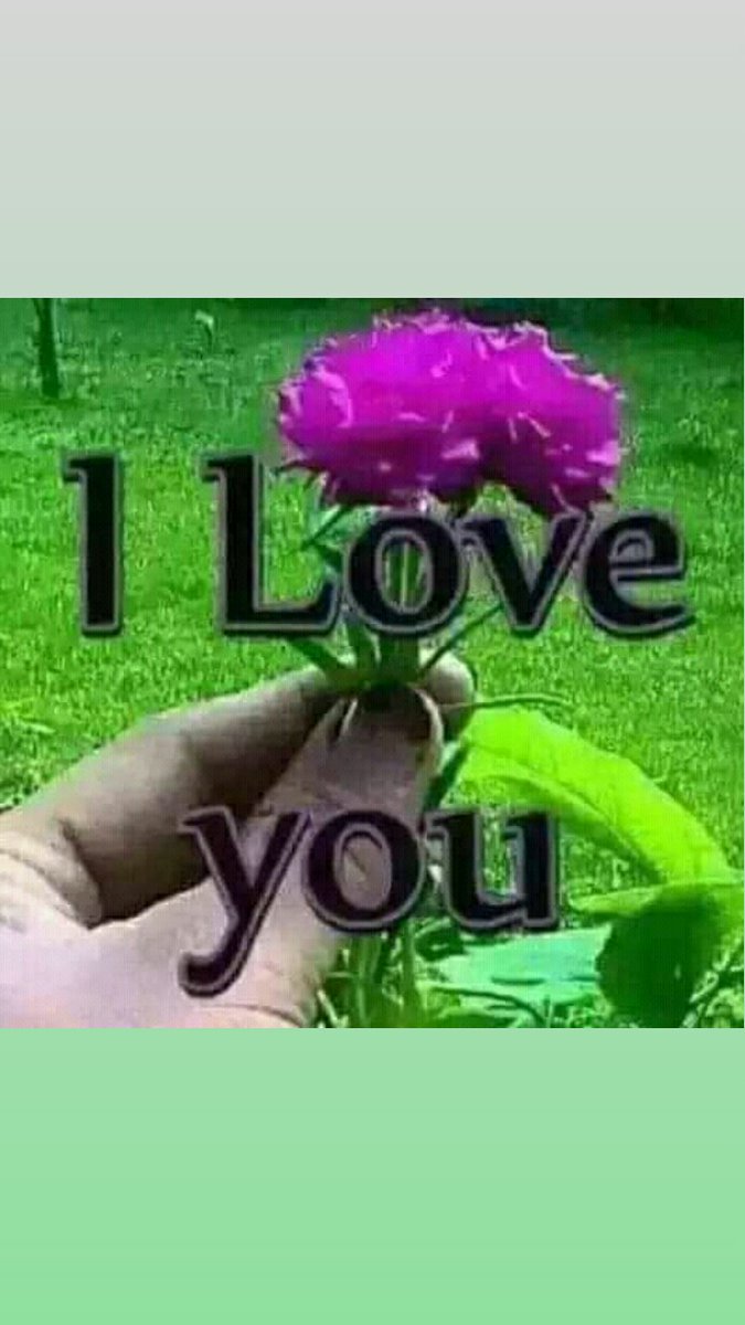 ayatpnd06's tweet photo. @bang26233776 https://t.co/qlZIMgtvsN