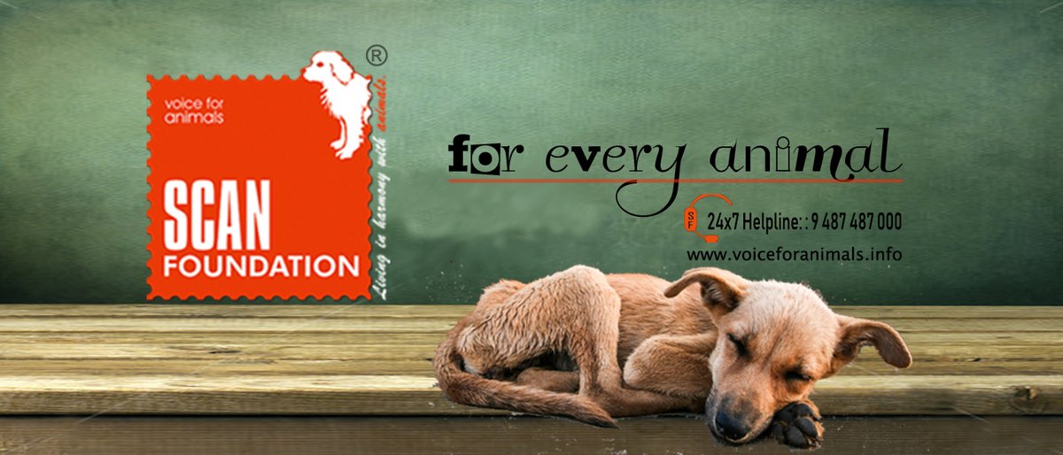 Voice for Animals tweet media