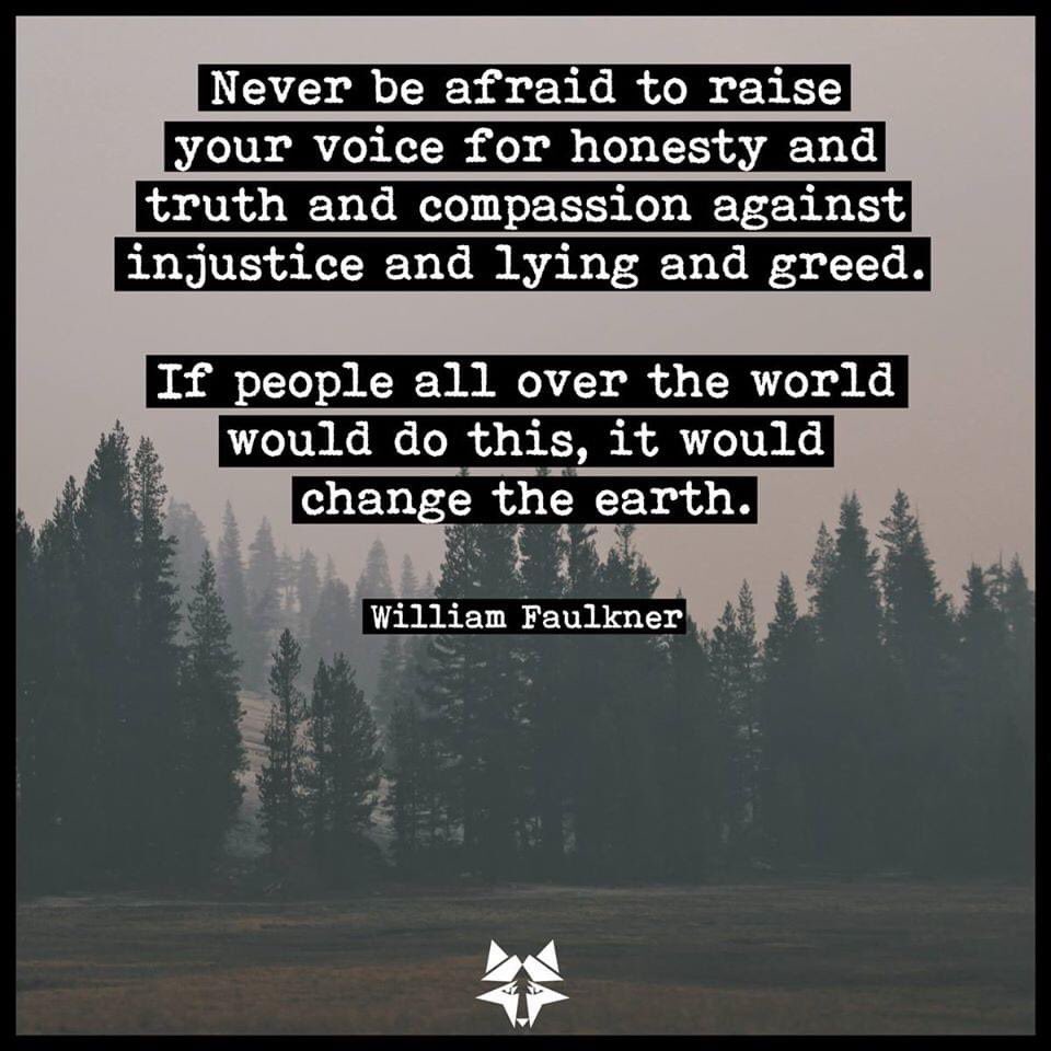 PieterseMarc's tweet photo. Never be afraid to raise your voice.✌️

#BeWise💚#BeVegan🌱

#BeAcive✊ https://t.co/xVldQf4TuD