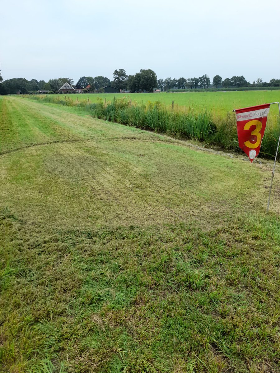 Zo. 25 juli wordt er gestreden om de Melktapcup <a href="/DeMelktap/">De Melktap</a> in Geesteren. De baan ligt er weer tiptop bij. #boerengolf