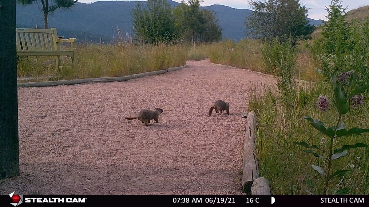 Allan Brooks Nature Centre tweet media