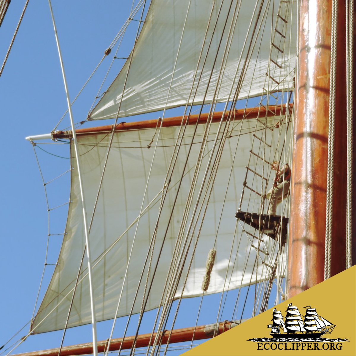 EcoClipper's tweet photo. The square-rigged sailing ship has evolved slowly over thousands of years.
Every major innovation came after a long period of trial and error which would illuminate certain necessities and point to areas of the ships due for improvement.
#sailing #squarerig https://t.co/lKP9qJhnsI