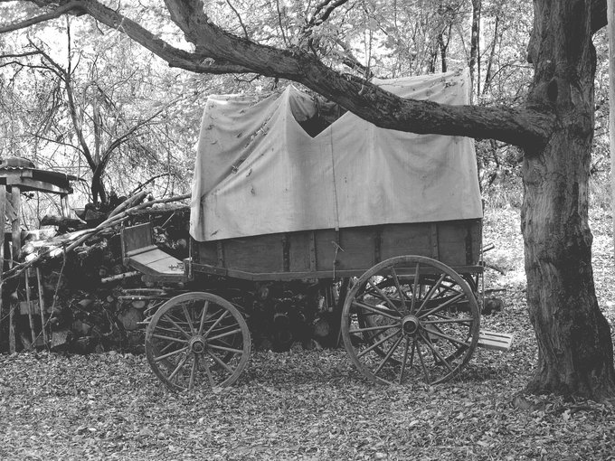 covered wagon, wooden cart, wagon