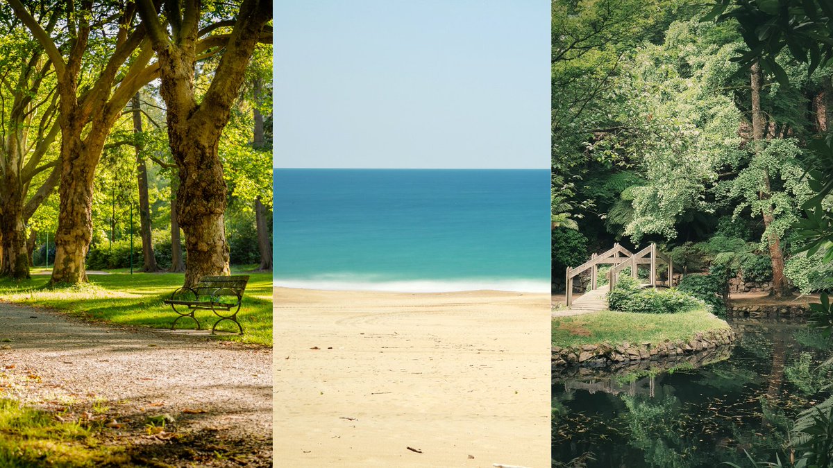 Responsive Classroom tweet media