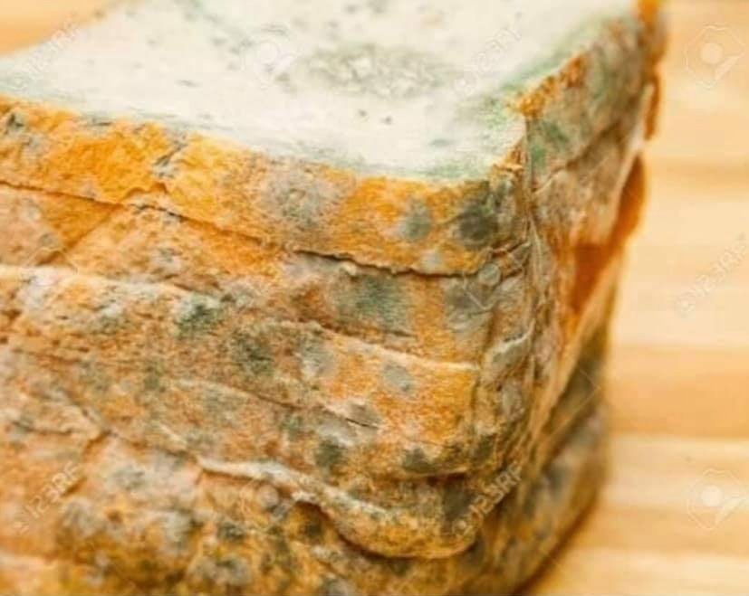 Carolinerathabe's tweet photo. Eat this bread or kiss your 3rd @ https://t.co/gu1hvLTWUh