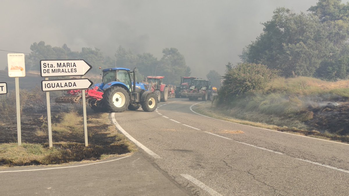 L'exèrcit de tractors i pagesos de la Catalunya profunda i dels "gilipueblos" ho donen tot per cuidar i salvar el que vosaltres en dieu "territori" i nosaltres en diem "país". Menys fotos damunt bales de palla i més coneixement deledi rural, ignorants!