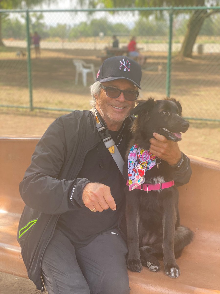 Tony Denison tweet media