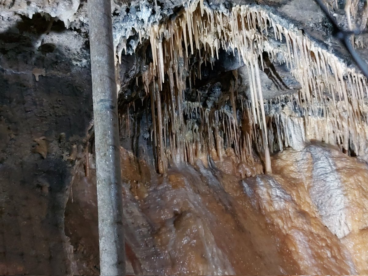 Jane peck tweet media