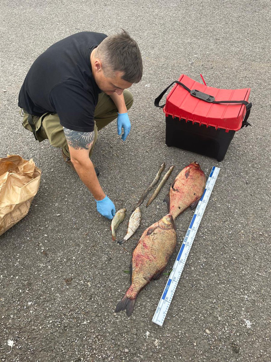DaveThroup's tweet photo. Fishery enforcement officers logging seized evidence from fish theft operation last night in Pershore area. https://t.co/4p4KZEurh7