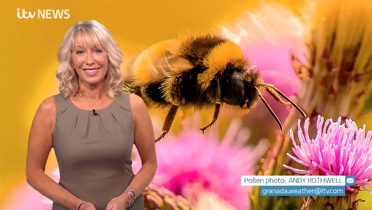 EmmaJessonTV's tweet photo. VIDEO: ... and of course #pollen @GranadaReports ... sponsored by #piri #piriton #piriteze #pirinase #pirinatural #byebye https://t.co/kVe9HYYL9G https://t.co/mGHUgoayMT