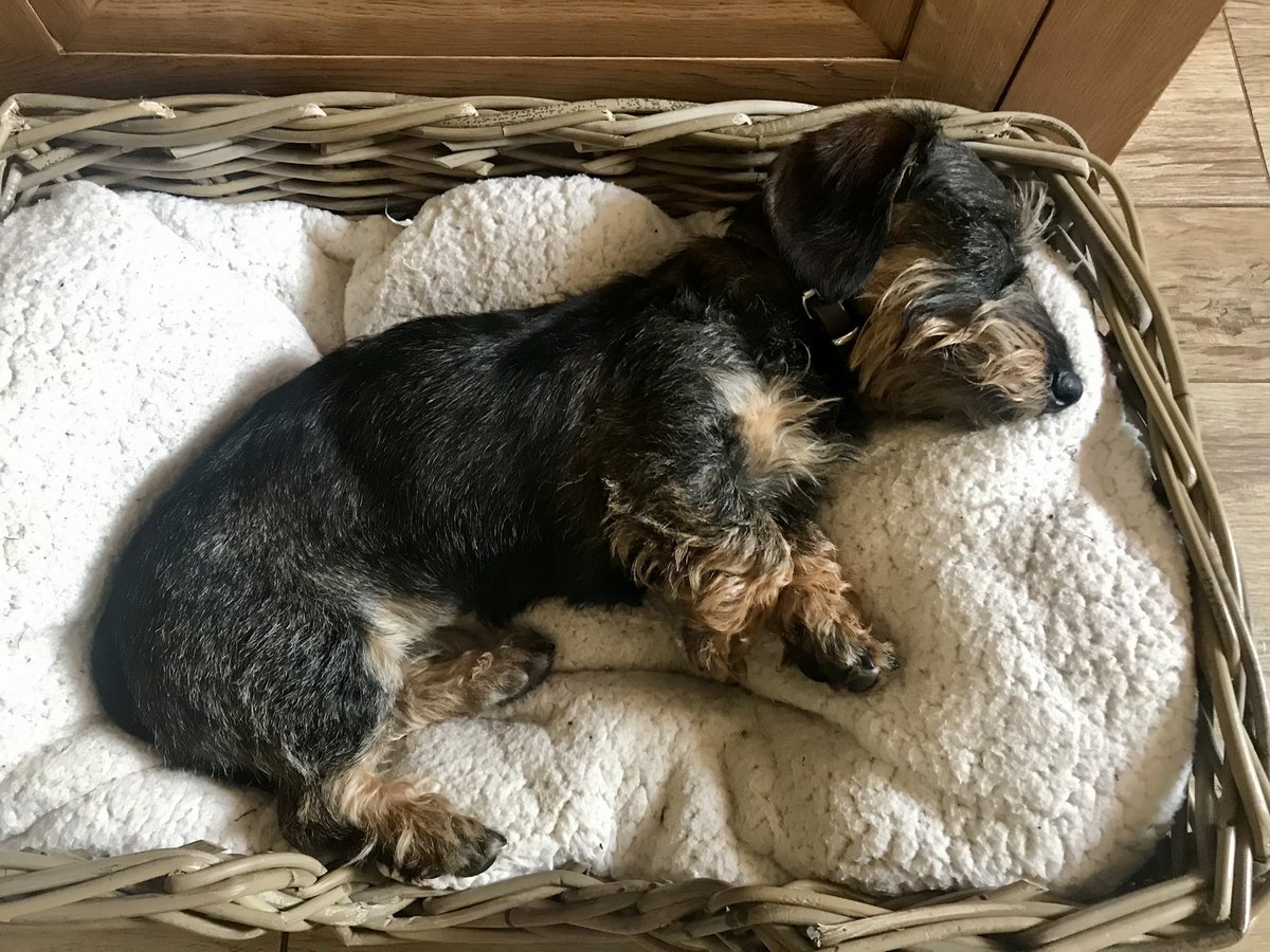 Richborough_Est's tweet photo. ๐ฅพHike for Homeless is DONE!
Congrats to our two teams. Just like Molly ๐ถ weโre ready for a nap!
Proud to have raised OVER ยฃ2,000 - thank you and please keep it coming!! https://t.co/GsMYHUNZo2
@StBasilsCharity #housing #homelessness #hikeforhomeless https://t.co/d3K96LnBzD