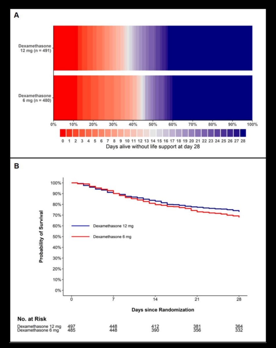 ABsteward's tweet photo. COVID STEROID 2 trial
🆕💥💥preprint 
Among patients with #COVID19 and severe hypoxia, dexamethasone 12 mg did NOT result in statistically significant more days alive without life support at 28 days than dexamethasone 6 mg
Awaiting for #Recoverytrial 
https://t.co/xFwKXlHLmk https://t.co/loTyw6onij
