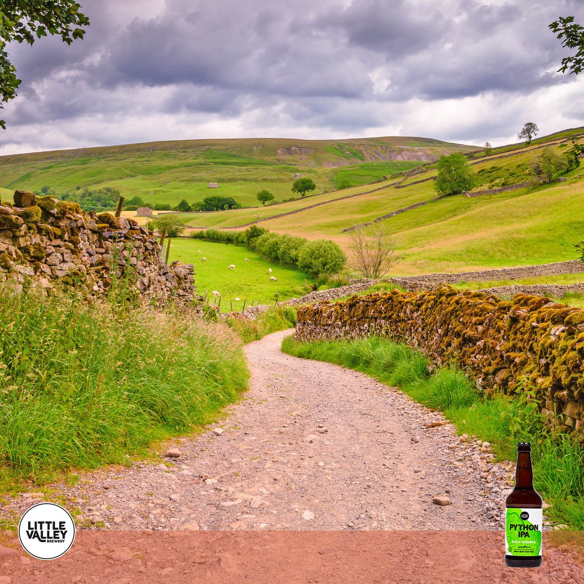 LittleValleyAle's tweet image. Brewed in Yorkshire since 2005. #pythonipa