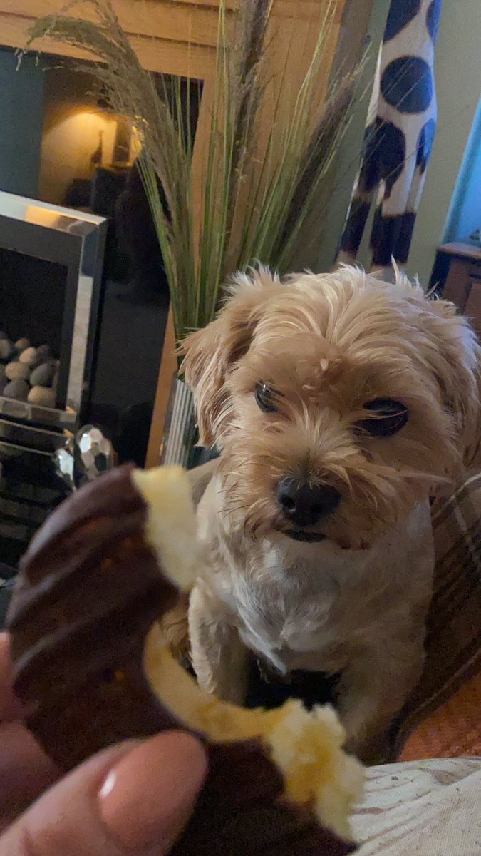 BoobiesMomma's tweet photo. Jaffa Jonuts in da house! #mcvities #jonuts https://t.co/ehWJMheBEK