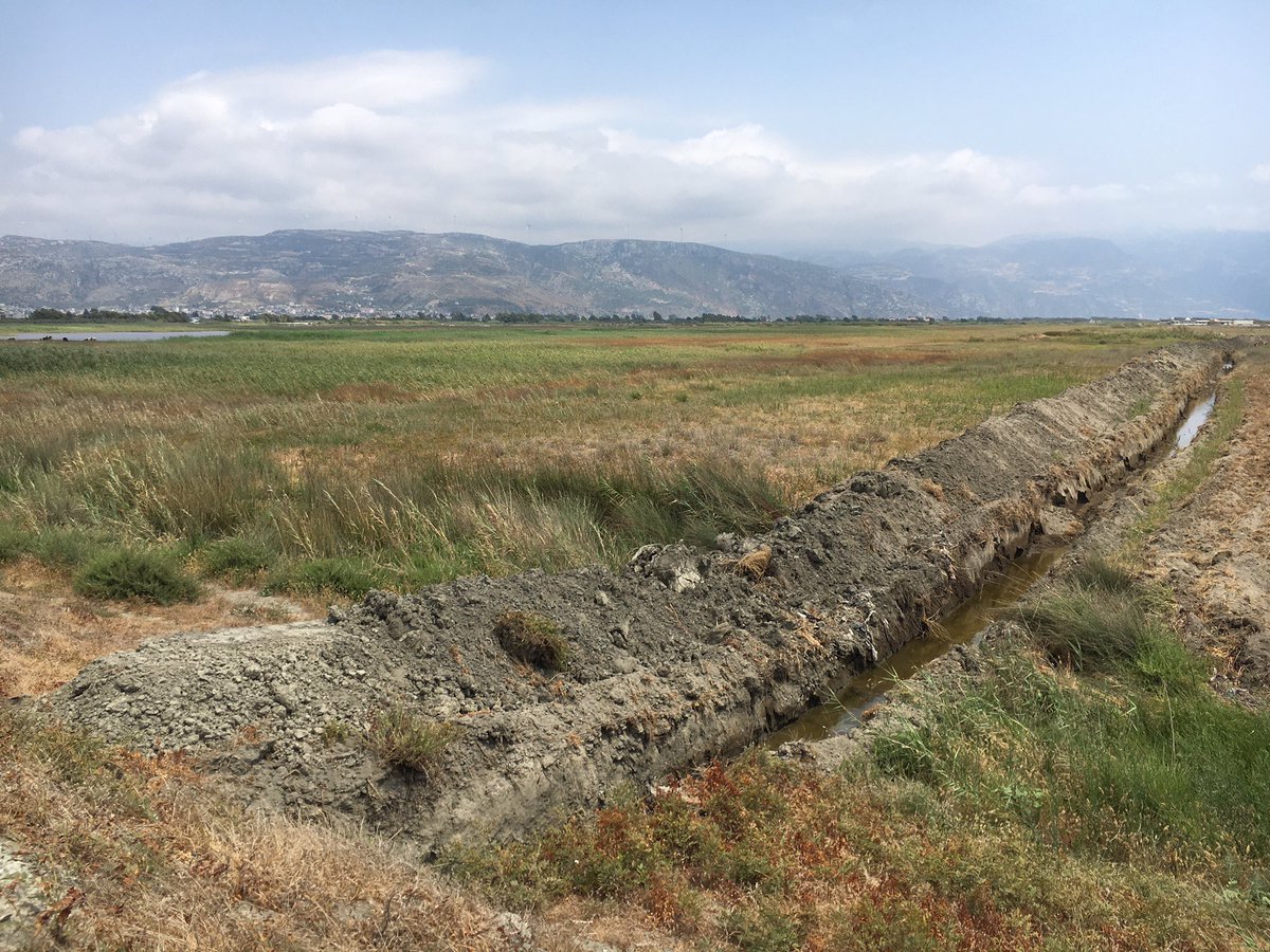 DÜN BAŞIMA GELEN KORKUNÇ BİR OLAYI ANLATAYIM. Kuşların ana göç yolu üzerinde olan Hatay Samandağ’daki Milleyha Kuş Cenneti’nde tam 21 kilometre yürüyüş yaptım. Aslında neredeyse her gün bu yürüyüşü yapıyorum! Yürürken kuş cennetindeki gölün kenarına koca bir kanal açılmış +++