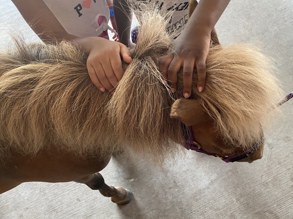 Soul Harbour Ranch tweet media