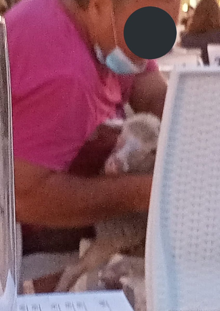 mandzvkjc's tweet image. MA C’È UNA PECORA SEDUTA AL TAVOLO DAVANTI AL MIO