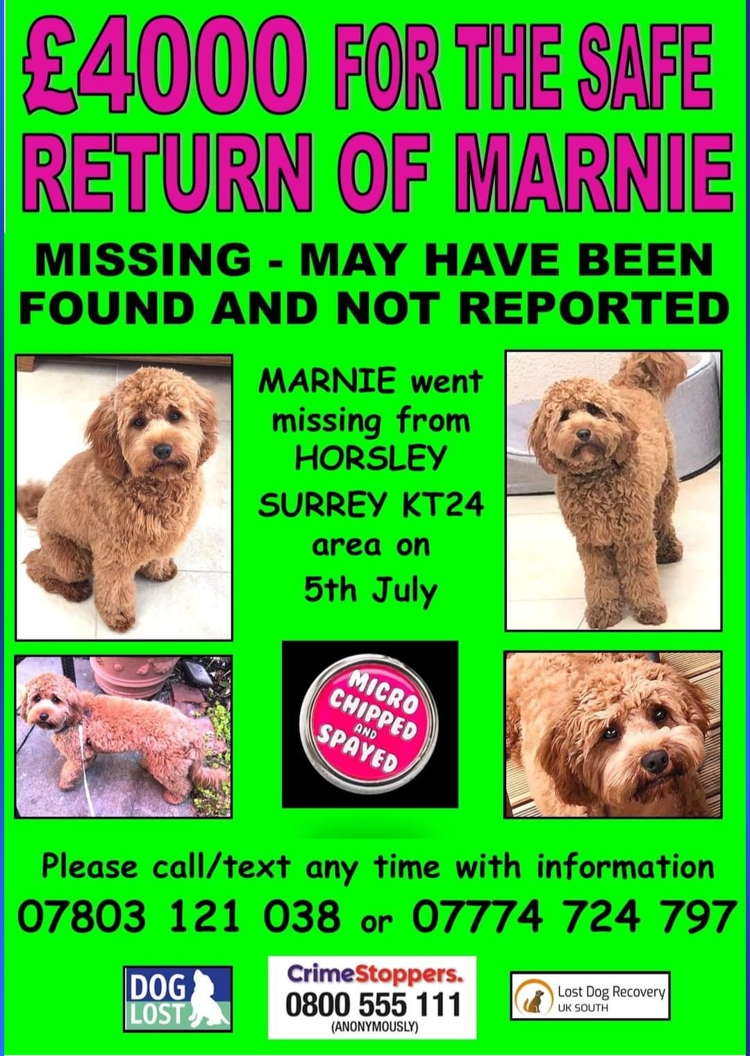 jj 🌻🐝 on Twitter: 