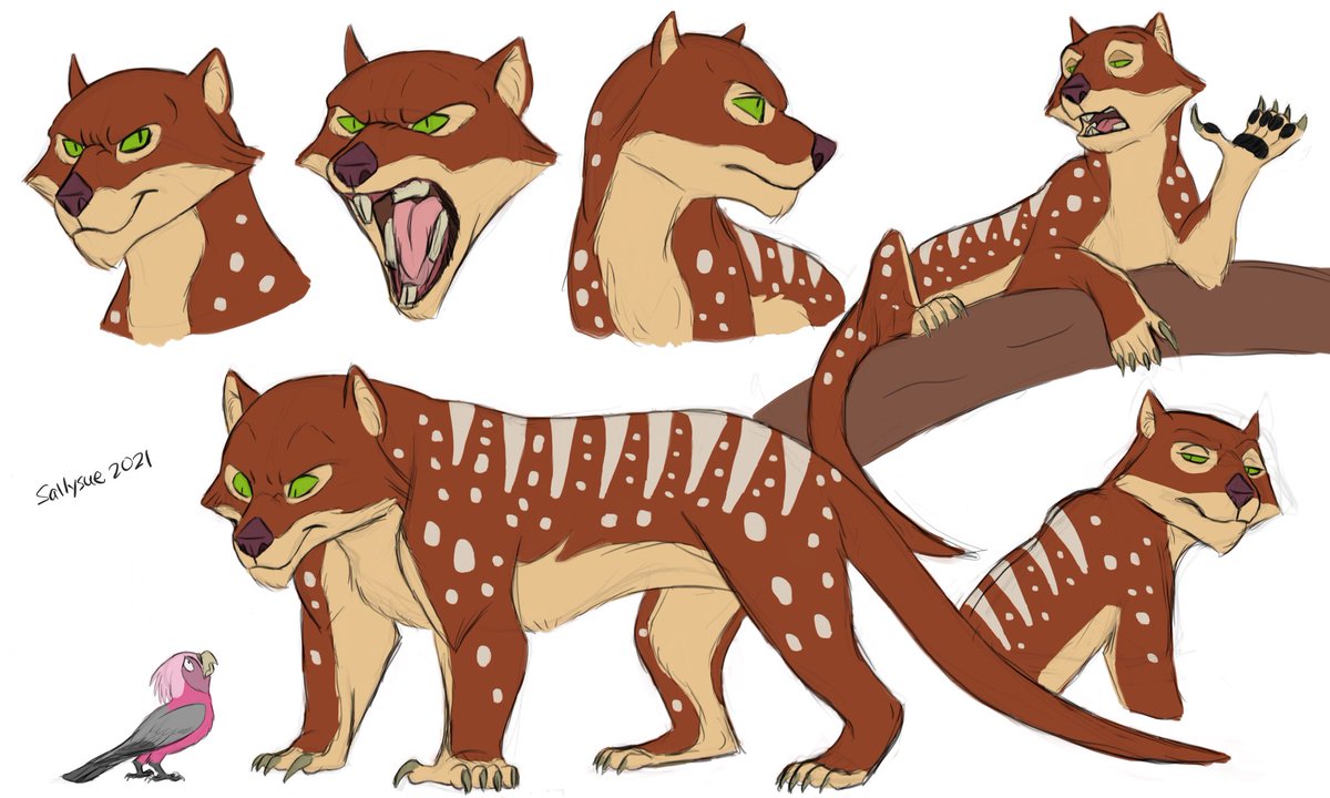 Theo the Thylacoleo (Marsupial Lion) coloration based by a tiger quoll but with stripes. #Thylacoleo #marsupiallion #prehistoricanimals