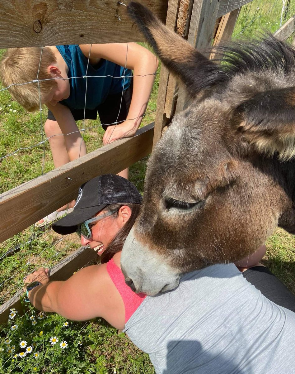 becalou78's tweet photo. @Stana_Katic #WhatMakesUHappy I really hope you see this one. Was out doing some fencing and Daisy here was very curious as to what was going on. 
#LifeOnAFarm #Fencing #DaisyTheDonkey #ShesAGoodOlGirl #FoxHillFarms https://t.co/PzK589CHB4