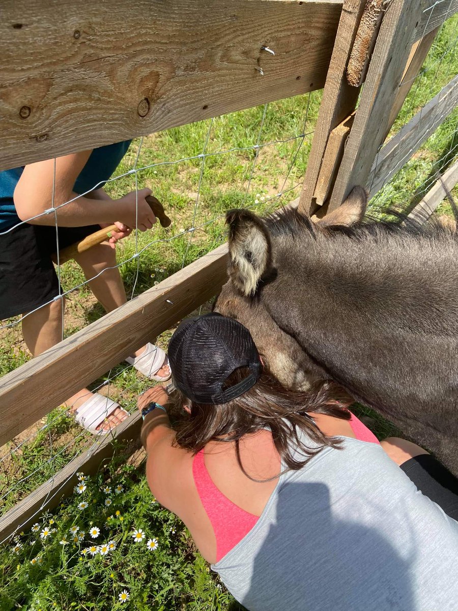 becalou78's tweet photo. @Stana_Katic #WhatMakesUHappy I really hope you see this one. Was out doing some fencing and Daisy here was very curious as to what was going on. 
#LifeOnAFarm #Fencing #DaisyTheDonkey #ShesAGoodOlGirl #FoxHillFarms https://t.co/PzK589CHB4