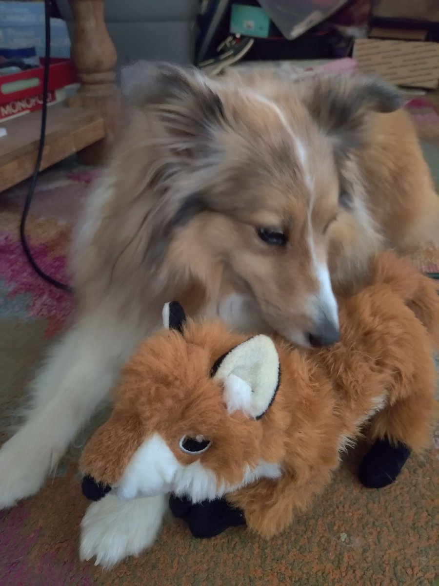 VAce01's tweet photo. @play_pso2 Family loaf, and fox toy. 🦊 https://t.co/XcrfYpigcr