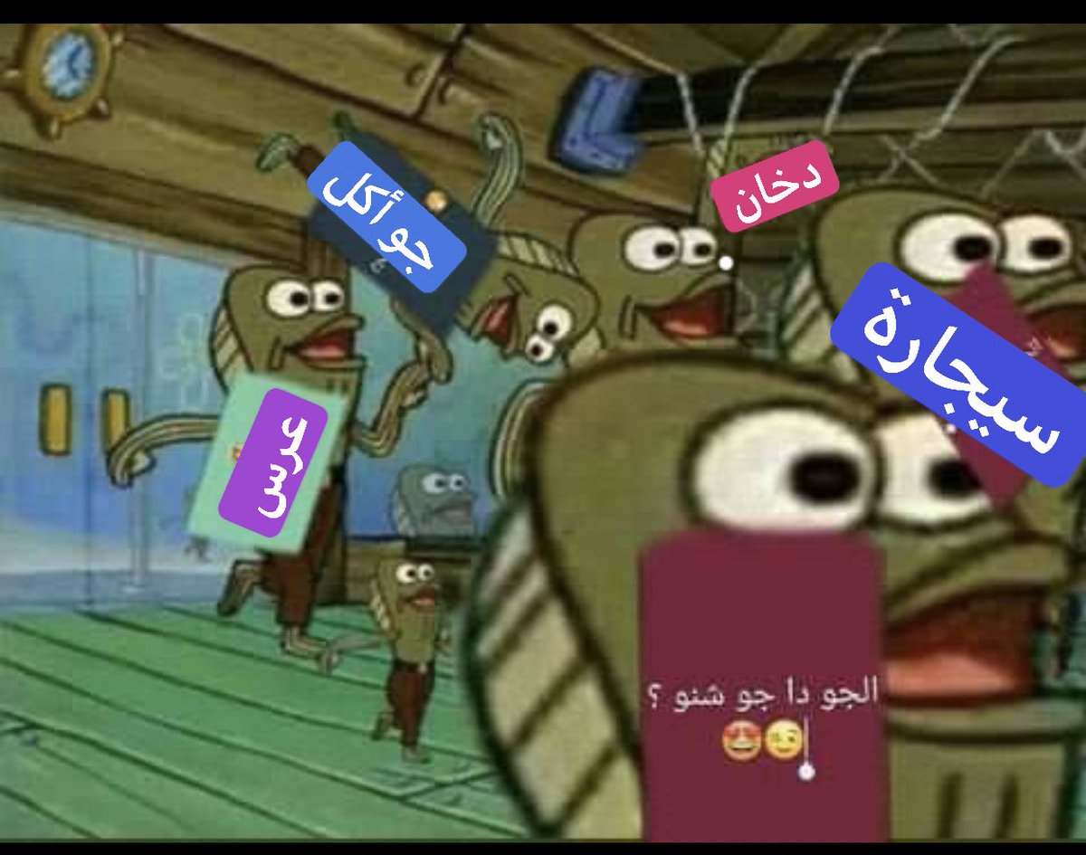 اول م المطر ينزل والجو يظبط
شعب كدا 😂😂😂