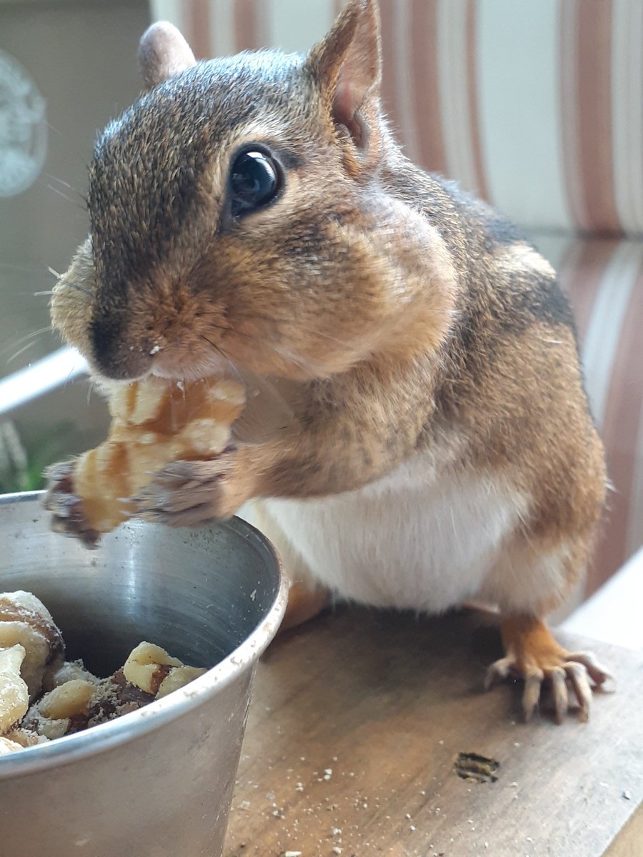 When you're pregnant, only the finest quality nuts from <a href="/marianinut/">Mariani Nut Company</a> are good enough to stock up on!