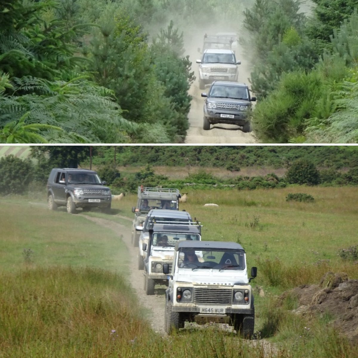 ukLRevents's tweet photo. Dry and dusty in the #DurhamDales today for our #landroverowners #group #GreenLaneTour.

#Defender #Discovery and #NewDefender all enjoying an #offroad #drivingday.

See our website for the full schedule of #4x4tours to attend in your own #LandRover.

.... https://t.co/d0OplUk0eP