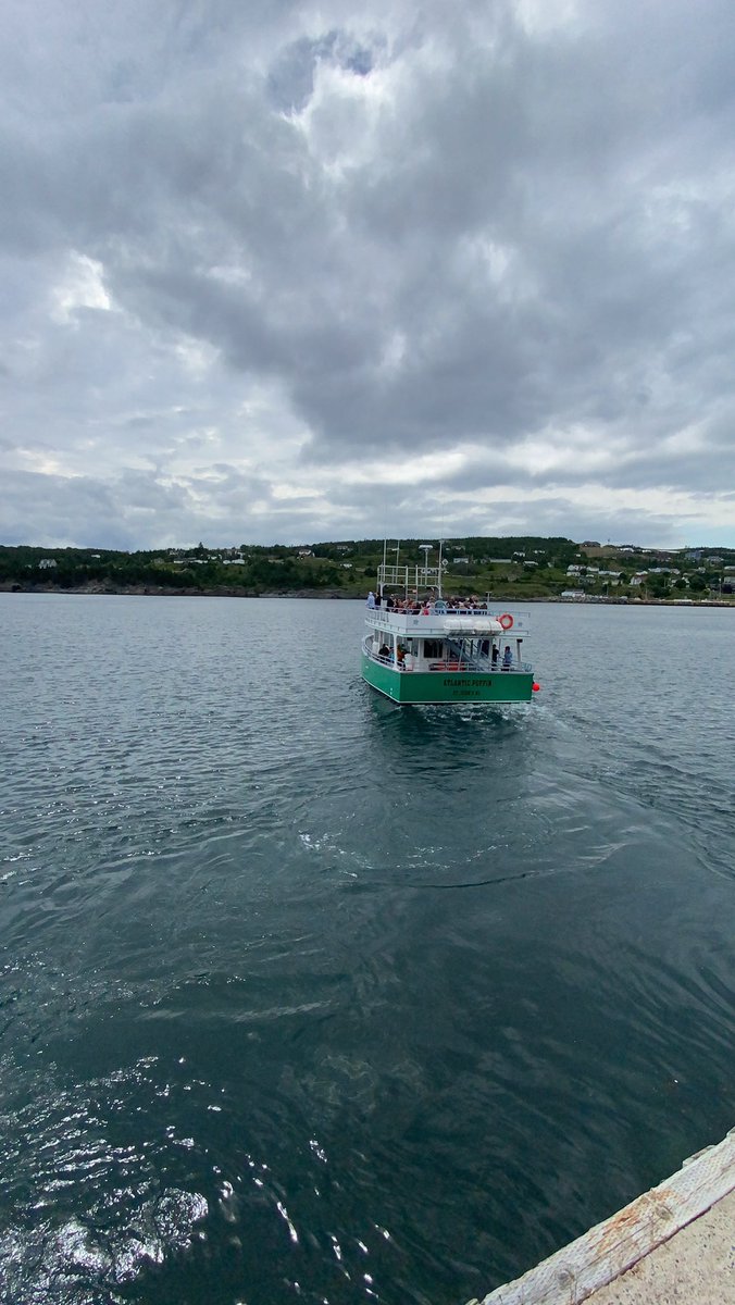obrienstours's tweet photo. Another beautiful day for #whalewatching aboard the #atlanticpuffin ! Come join us as #GOTours, you will not be disappointed! ππ #obrienstours #nlboattours #nltourism #explorenl @Gatheralls https://t.co/bCoBbQKxIg