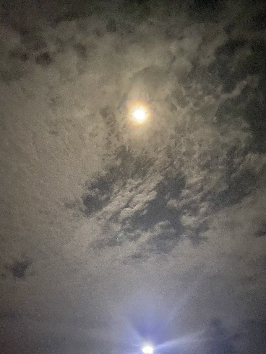 hinnal's tweet photo. A beautiful Night 🤍...view from  #velidhoo 🦋💡🤍💎 https://t.co/9lKTJF8HEh