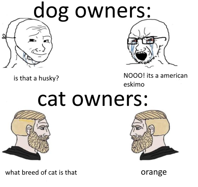 reminds me of this meme lmao cat owners don't know shit 