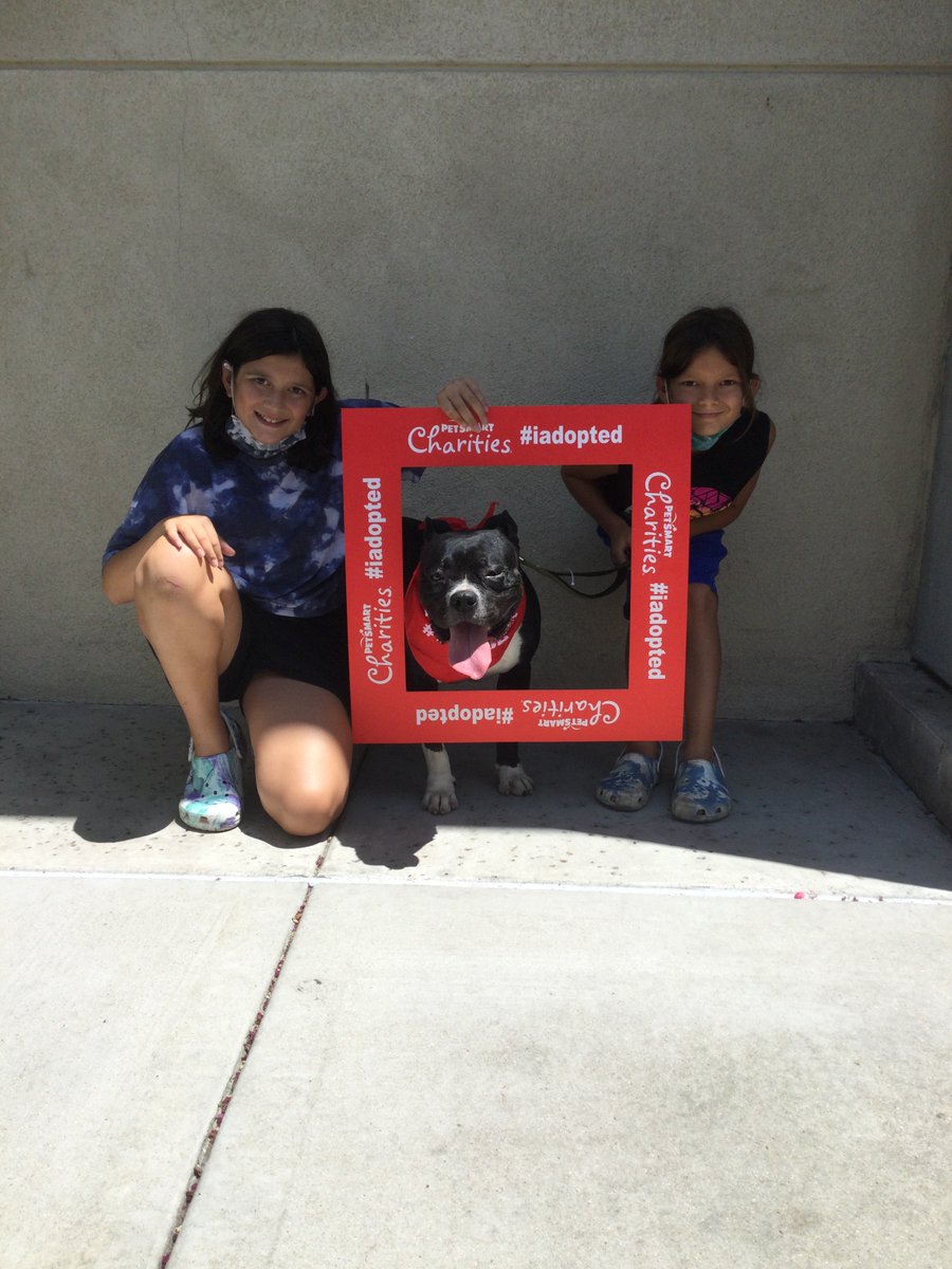 Stockton PetSmart tweet media