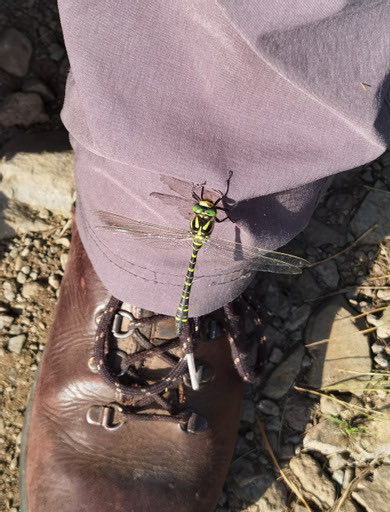 dektasker's tweet image. Amazing trip to sky recently. Loads of great photos and hard to choose 4. The trip had everything. Will stay long in the memory.