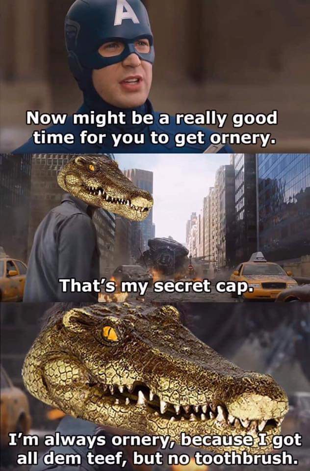 Philip_J_Fried's tweet image. 