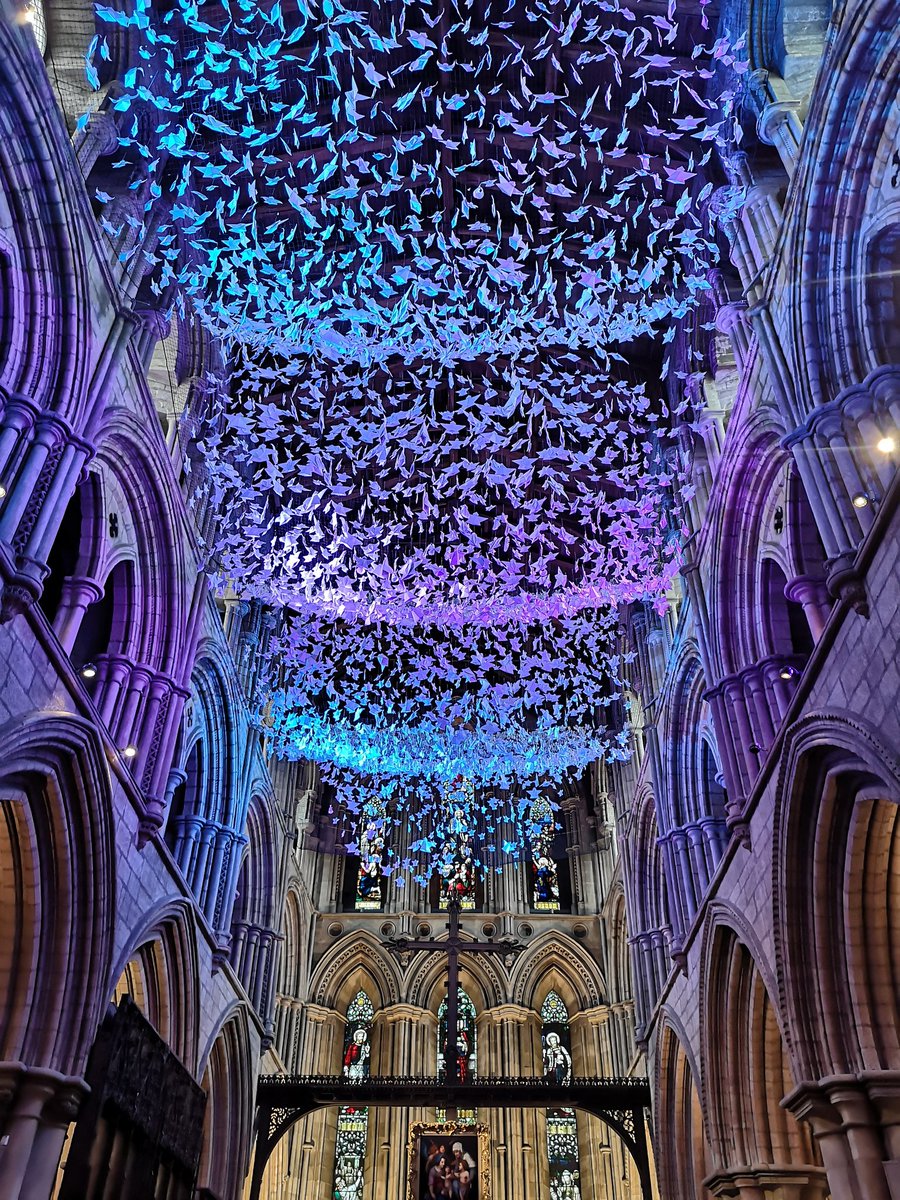 HazelGaynor's tweet image. Stunning display of paper angels in Hexham Cathedral, to remember those lost to Covid. 💜