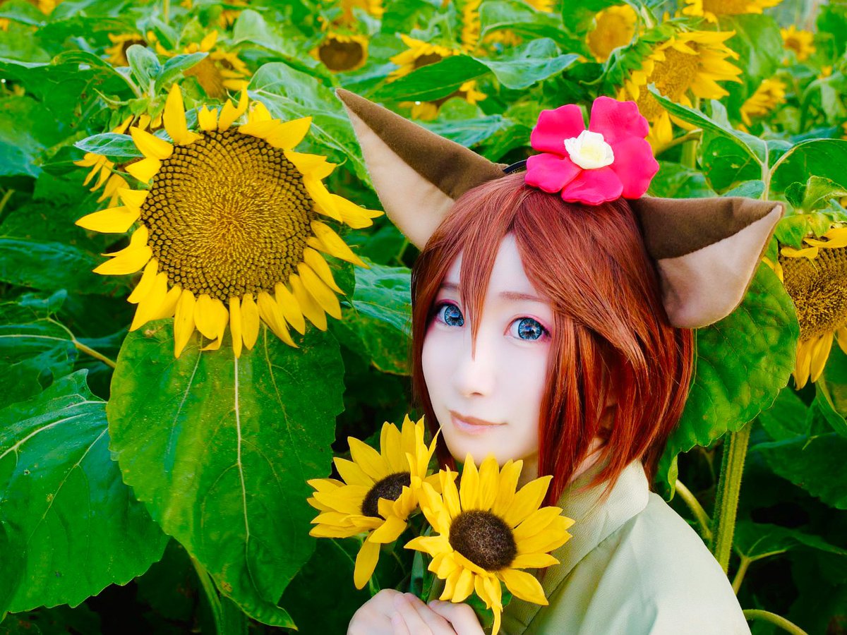 Twoucan ひまわり畑 の注目ツイート イラスト マンガ コスプレ モデル