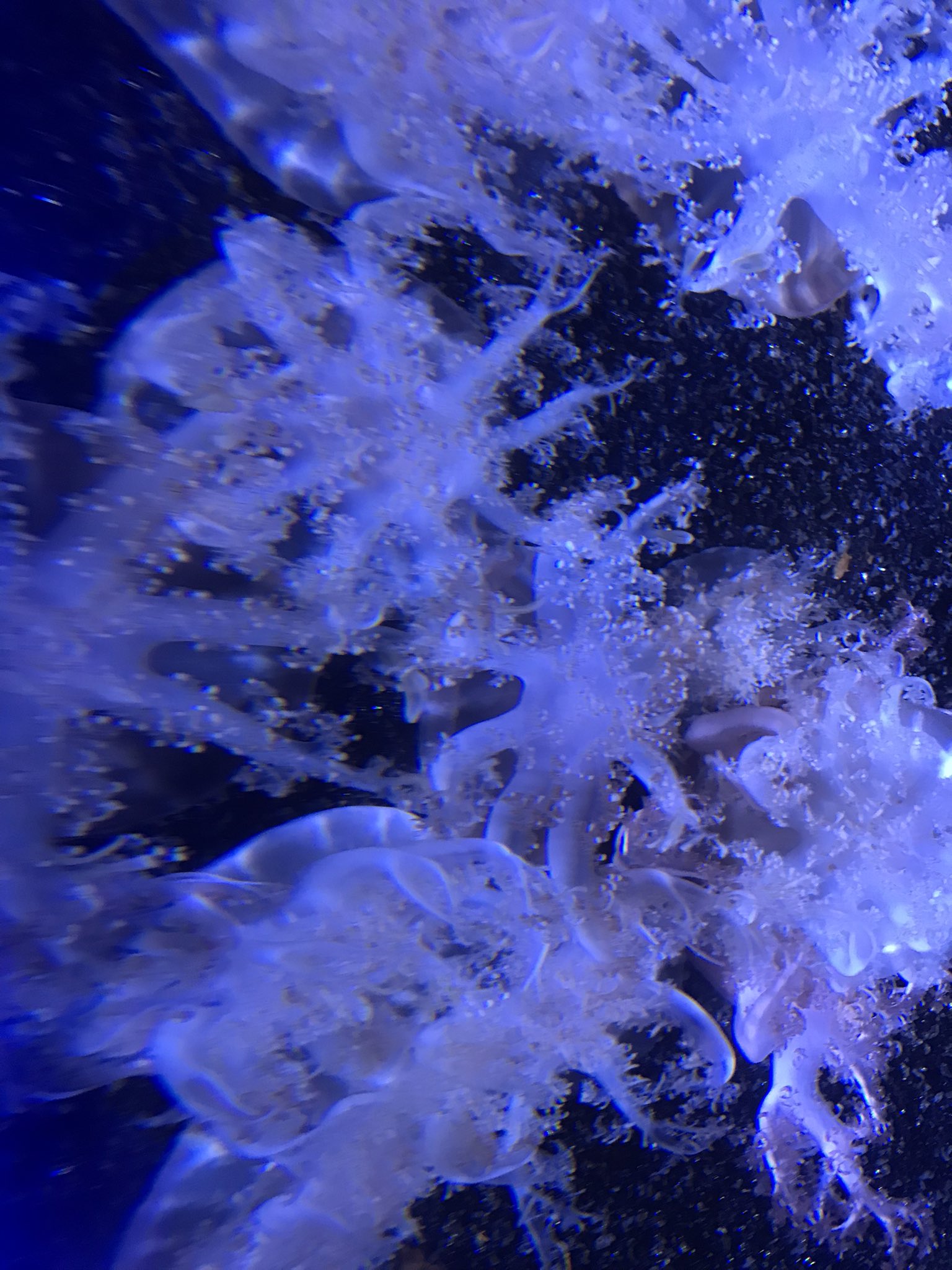 ZEROREZ (ZEROREZ7) / Twitter