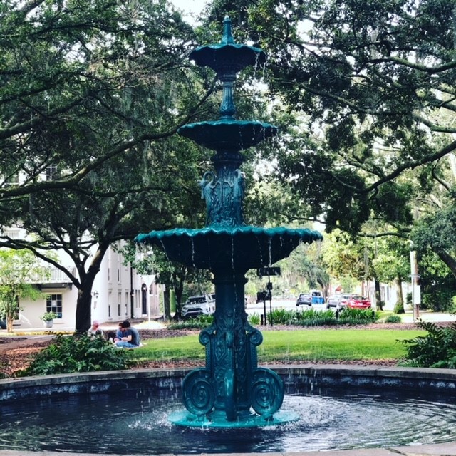 Come and explore Savannah's treasures. You never know what you will discover...
