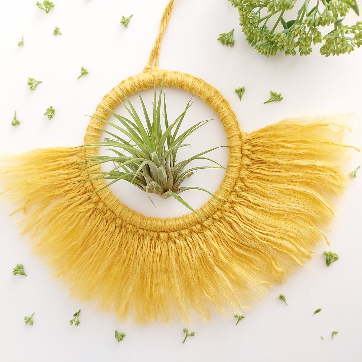 New design! Great Gift Idea - especially for Air Plant Lovers 😍

#airplantdecor #airplantlover #moderndecor #airplantlovers #walldecor #tillandsialover #airplantholder #airplanthanger #homedecor #homedecorations #sandycraft #sandycraftuk