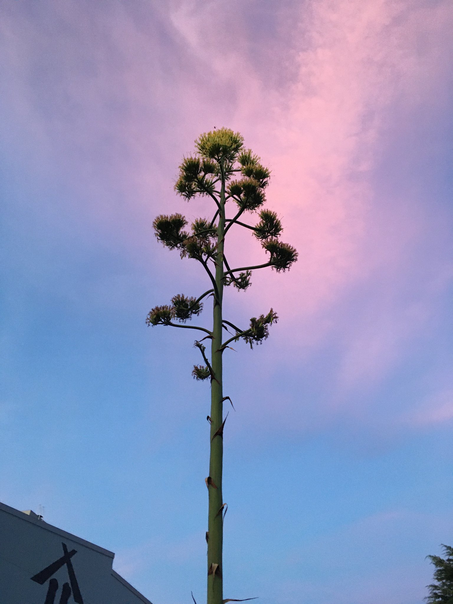 東尾道 Twitter Search Twitter