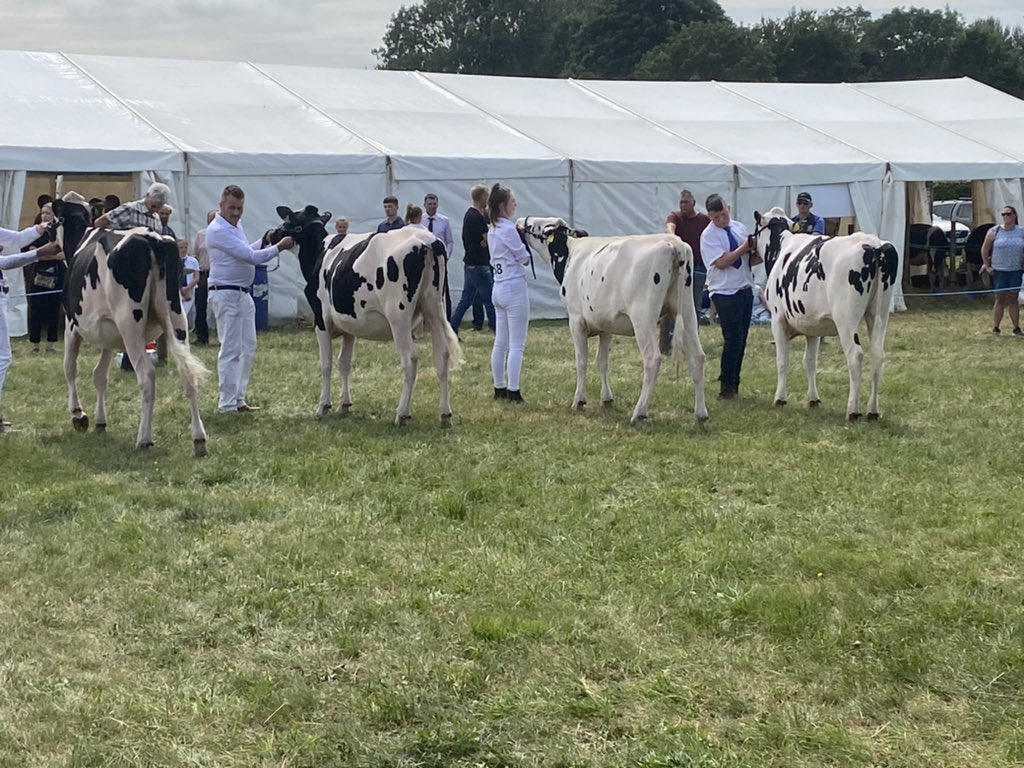 Good day at the Border Lakeland Club show